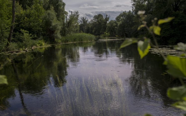 Dunáljunk még! – aktív családi nap a Szigetköz Natúrparkban