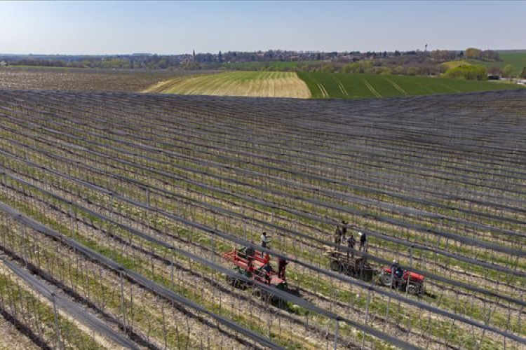 Új kihívásokkal szembesül idén a magyar mezőgazdaság