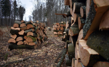 Tizenhárom éve jelenti az otthon melegét