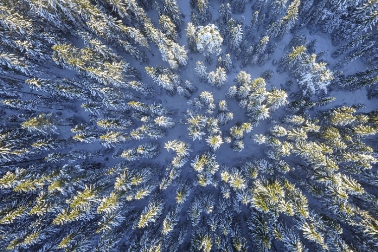 Leesett az első hó a Bakonyban