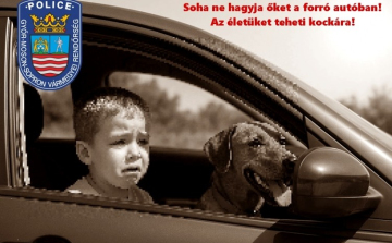 A hőségben egy percre se!