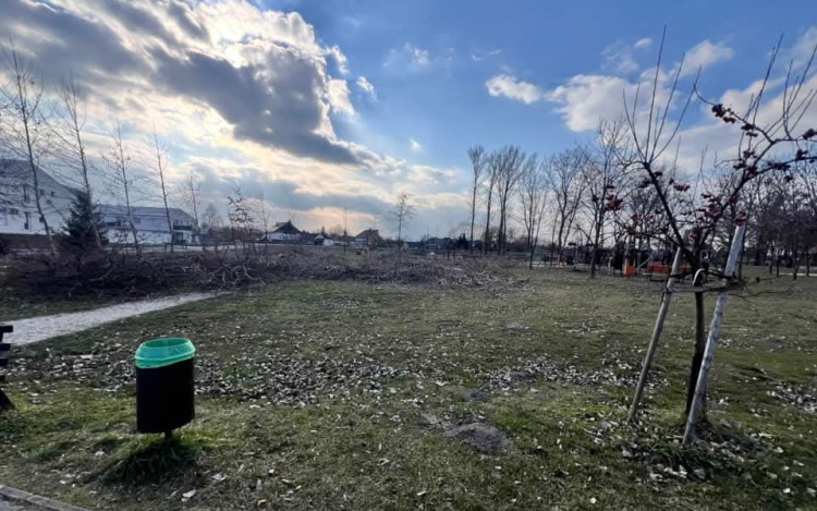 Fakivágásokból lett ügy Dunaszegen