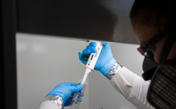 Enyhén emelkedett a vírus örökítőanyagának koncentrációja a szennyvízben