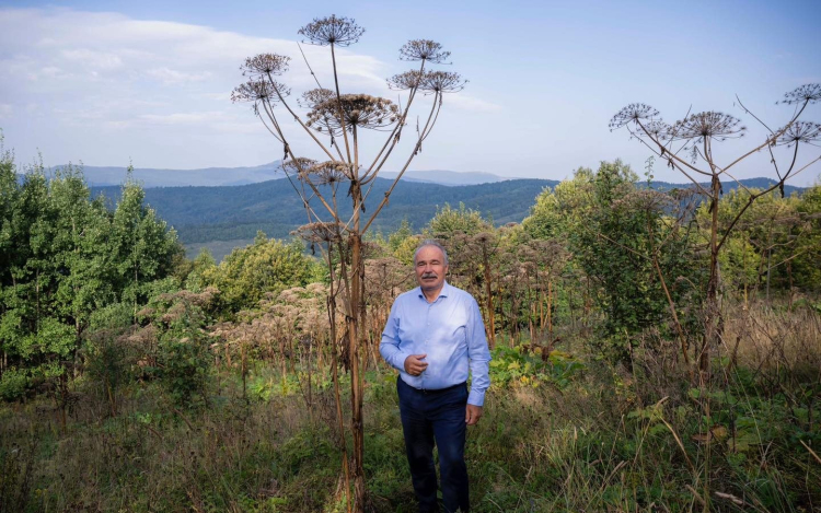 Veszélyes növény közeledik hozzánk – jelezte az agrárminiszter