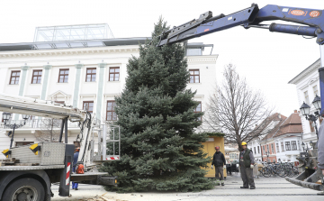 Városszerte helyeztek el karácsonyfákat Győrben