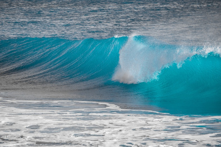 Csaknem 200 ezer tengeri vírust azonosítottak