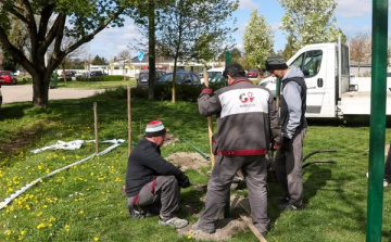 Kutyafuttató épül