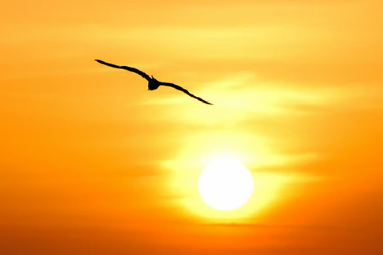 Hőség - Péntek éjfélig meghosszabbította a hőségriadót az országos tiszti főorvos