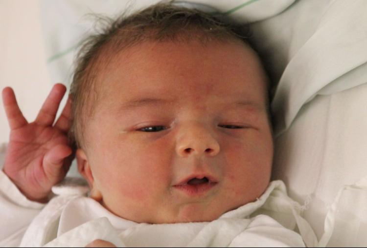 Kalmár Noel József 