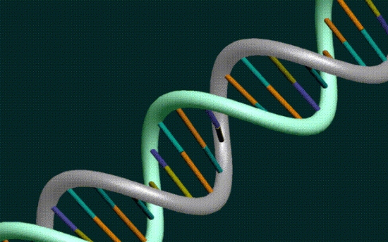 A négyes DNS-spirál felfedezése áttörést jelenthet a rákgyógyászatban
