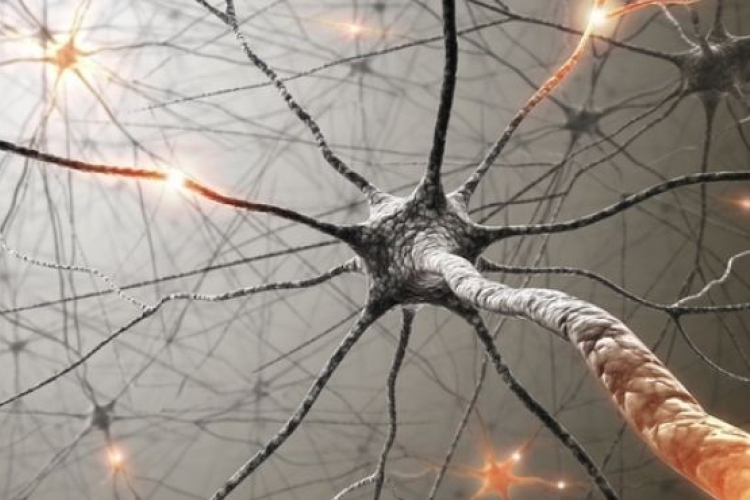 A szénhidrát javíthat a Lou Gehrig-kórosok állapotán