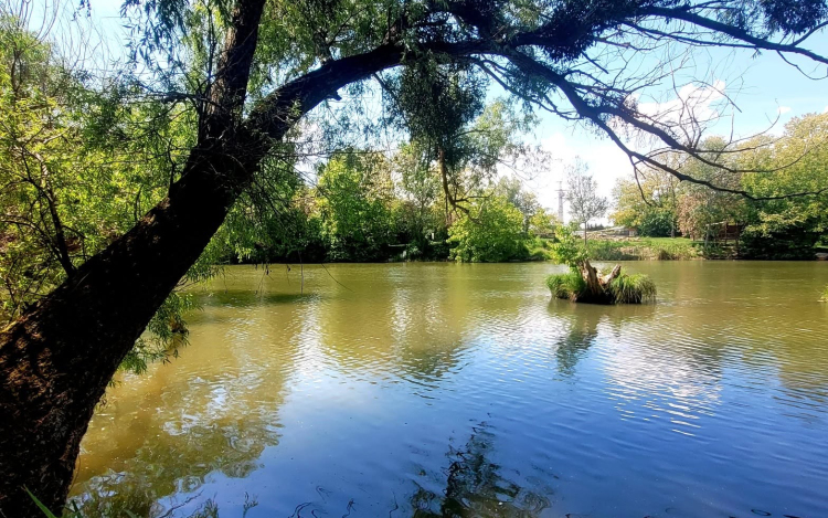Egy kis evezési kisokos a szigetközi vízi paradicsomhoz