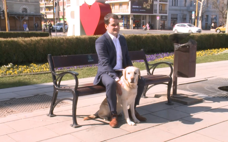 Vasárnapig lehet regisztrálni a kutyákat Győrben