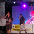 IV. Szigetközi Music Fesztivál 2011.07.09. (szombat) (3.) (Fotók: Joy)