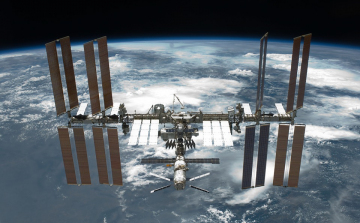 Tintahalbébiket küldenek a Nemzetközi Űrállomásra