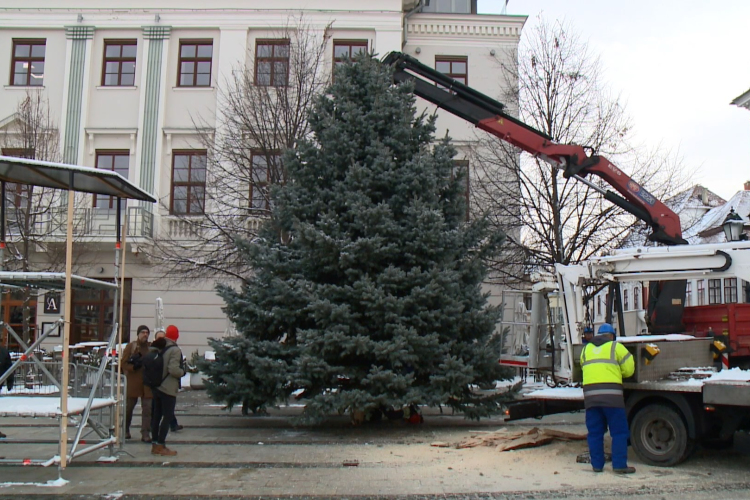Megérkezett a Széchenyi térre a mindenki karácsonyfája