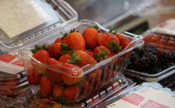 Eperszezon 2025: Magas árak, ígéretes termés