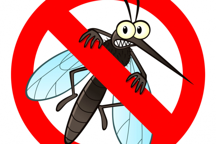 Tizenhat vármegyében és 6 budapesti kerületben irtják a szúnyogokat a héten