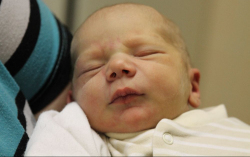 Hering Roland Ádám 