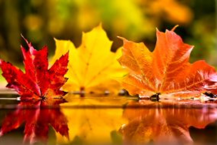 Marad a novemberi nyár