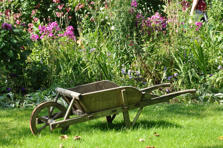 Ötéves a Magyarország legszebb konyhakertjei program