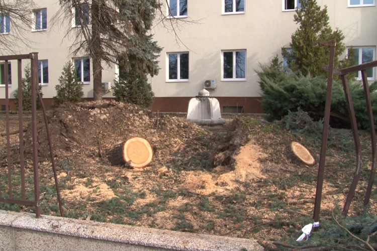 Győrt és környékét sem kímélte a vihar