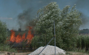 Több, mint 190 hektár égett le már idén a térségben