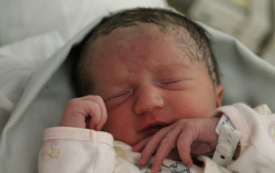 Tarabiah Liza Flóra 