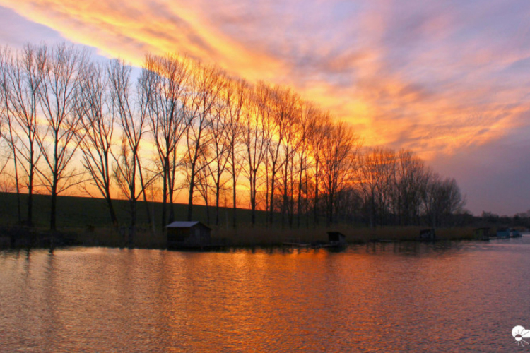 Gyönyörű tavaszi időnk lesz, 20 fok felett