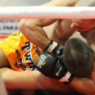 2013.03.31 Szombat IV.KOKO-GYM Küzdősport gála (2) fotók:árpika