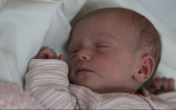 Früstück Anna Sára 