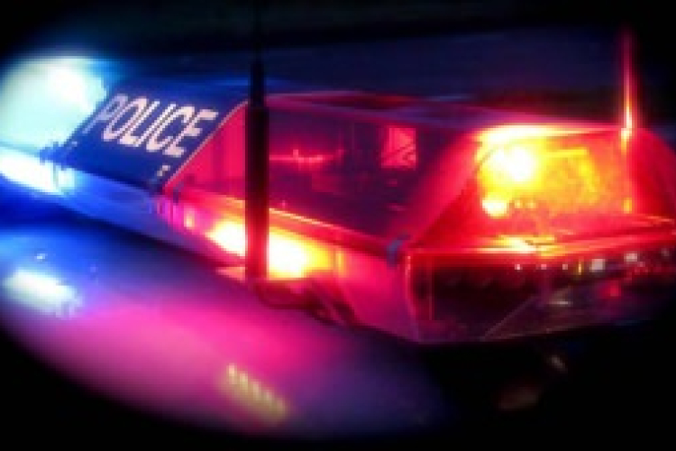 21 kilogramm marihuánát foglaltak le egy budapesti lakásban 