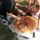 Kuckó Mackó 5. születésnap és jótékonysági evőverseny