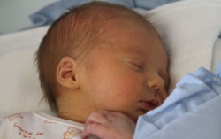 Steingart László József 