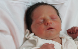 Bogdán Lajos Edvárd 