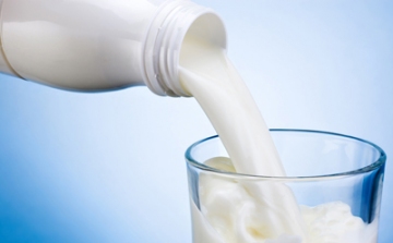 Szennyeződött tejet hívott vissza a forgalomból a Nébih