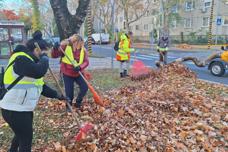 Gyűjti a lombot a Győr-Szol