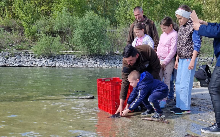 Kecsegetelepítés iskolásokkal