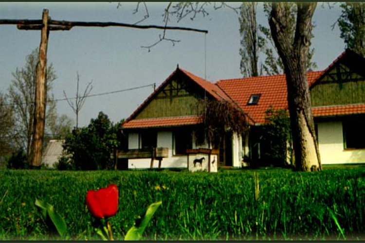 Reneszánszát éli a falusi turizmus