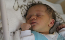 Gráczer Máté Zsolt 