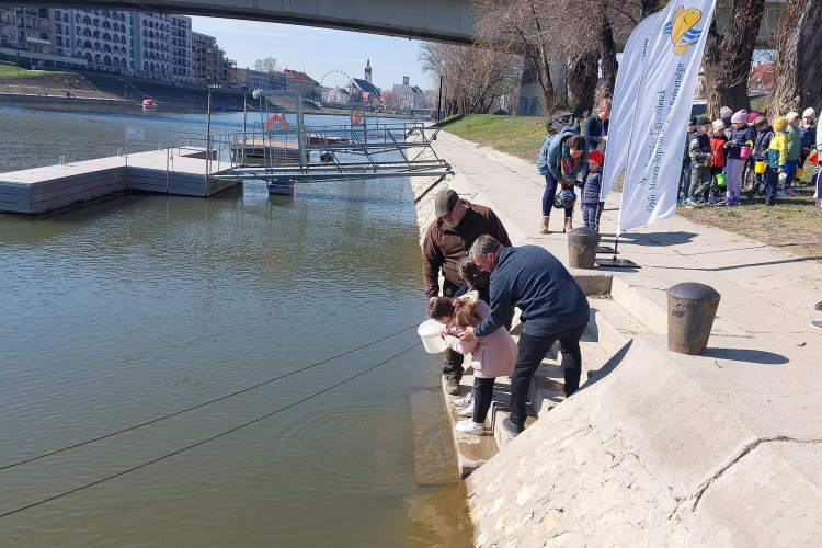 Látványtelepítés lesz Halak napján a Mosoni-Dunába