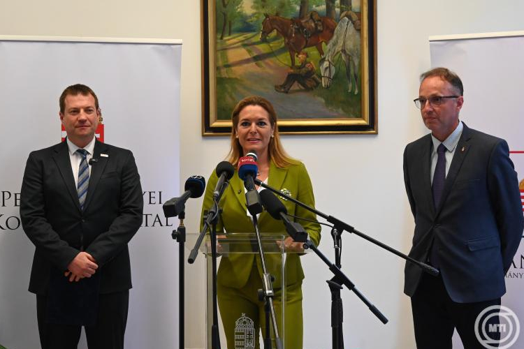 Megkezdődik a gondosórák kiküldése a 80 éven felülieknek