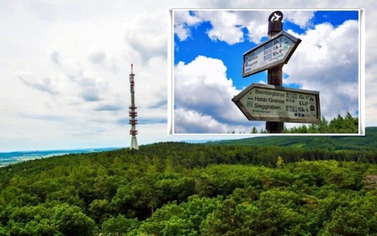 Eltévedt túrázókat találtak meg