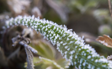 Lehűléssel indul a hét, visszatérnek a hajnali fagyok is