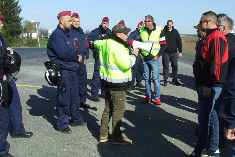 Továbbra is Bábolnára viszik a leölt marhákat