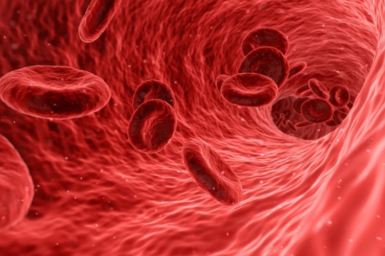 Megváltoztatták három donorvese vércsoportját kutatók