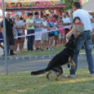 2013.06.23.Vasárnap SzFeszt 4.nap Fotók.árpika
