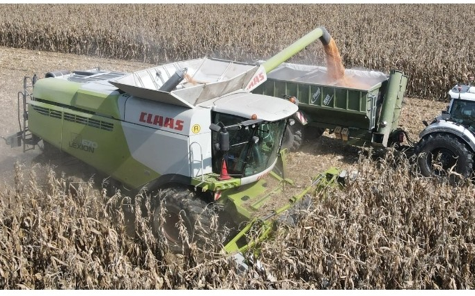 Kármentő betakarítás a Szigetközben