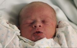 Horváth Miklós Mátyás