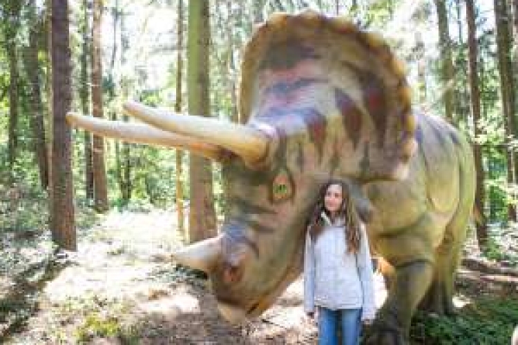 Őslénypark nyílik nyár elején a veszprémi állatkertben